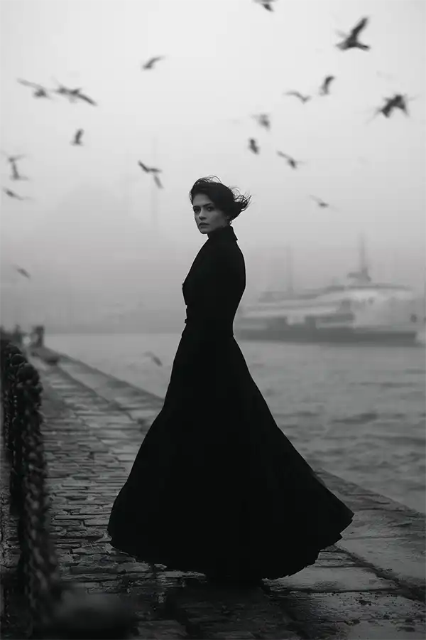 Plot Hook A woman in a long, flowing black dress stands on a misty waterfront, looking over her shoulder. Birds fly overhead and a ship appears in the foggy harbor, inspiring story ideas with its dramatic, moody atmosphere.